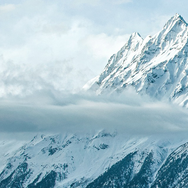 ��Ӯ����������רҵ�ƻ���������������