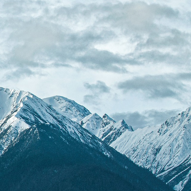 ��Ӯ����������רҵ�ƻ���������������