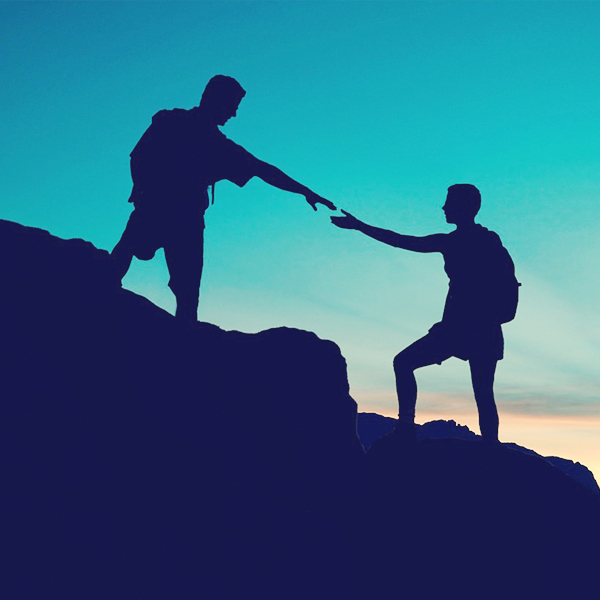 ��Ӯ����������רҵ�ƻ���������������