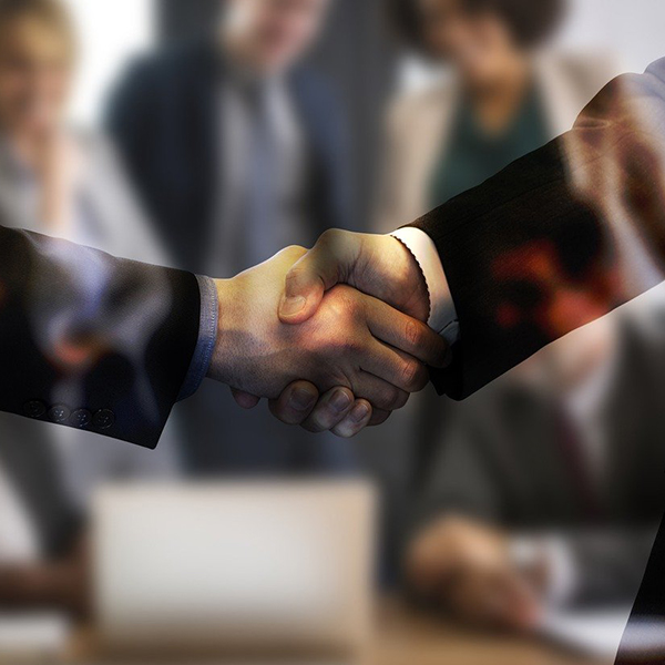 ��Ӯ����������רҵ�ƻ���������������