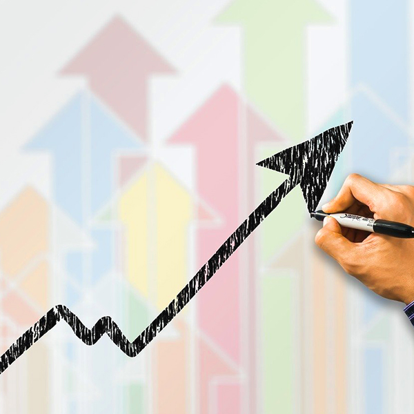 ��Ӯ����������רҵ�ƻ���������������