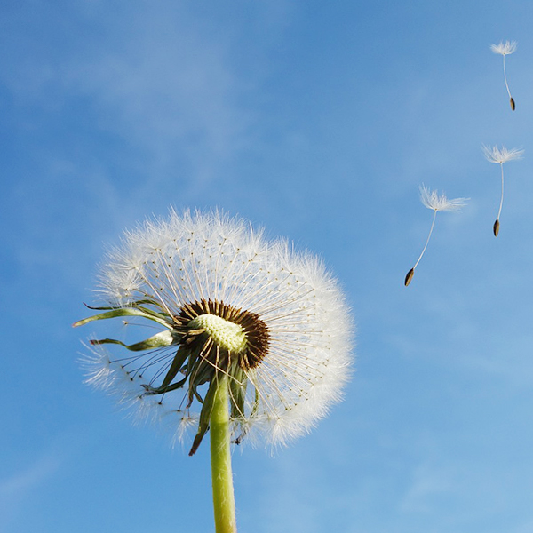 ��Ӯ����������רҵ�ƻ���������������