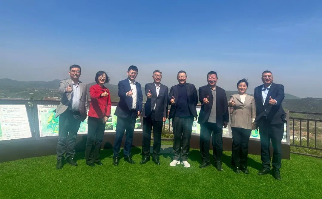 ��Ӯ����������רҵ�ƻ���������������