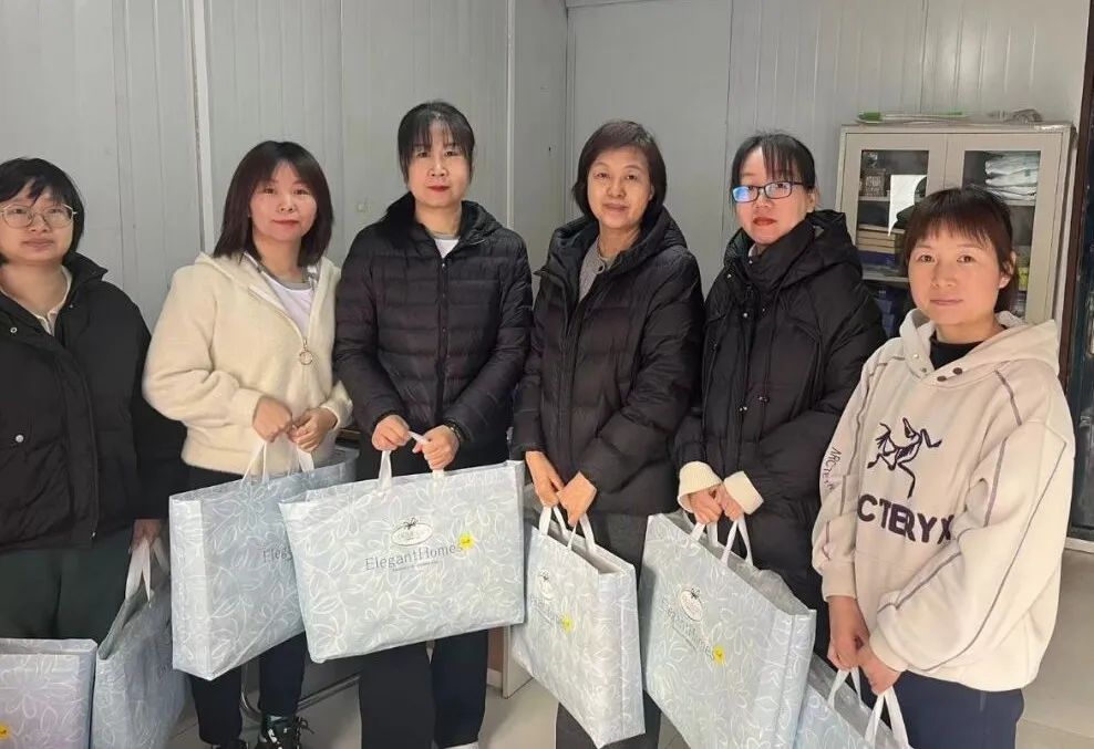 ��Ӯ����������רҵ�ƻ���������������