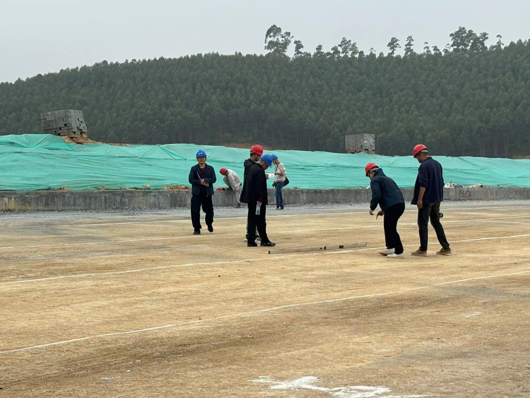 ��Ӯ����������רҵ�ƻ���������������